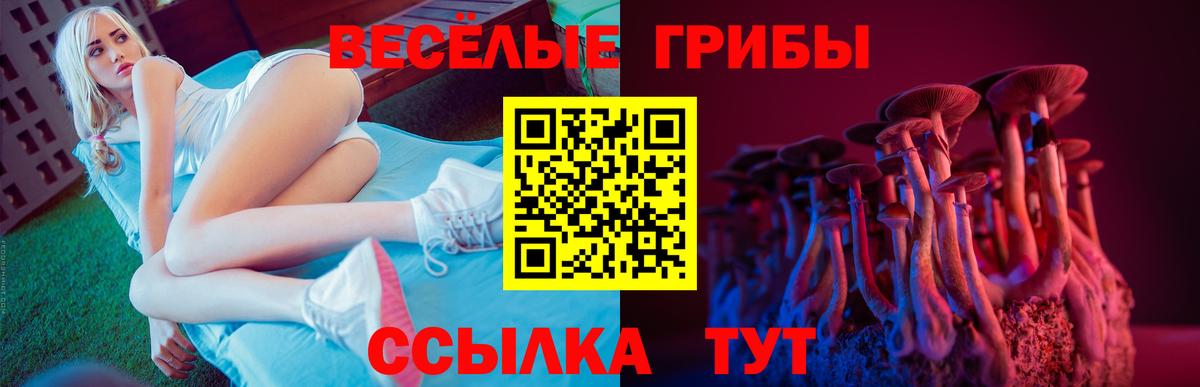 Псилоцибиновые грибы Cubensis  Вход с VPN  Зеленодольск 